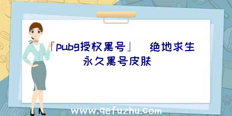 「pubg授权黑号」|绝地求生永久黑号皮肤